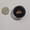 Gold Nugget - 1.77 Gram