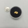 2.20 GRAMS GOLD NUGGET