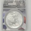 2021 TYPE-I NGC MS 70 SILVER EAGLE