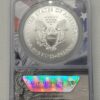 2021-W TYPE-I NGC MS 70 SILVER EAGLE