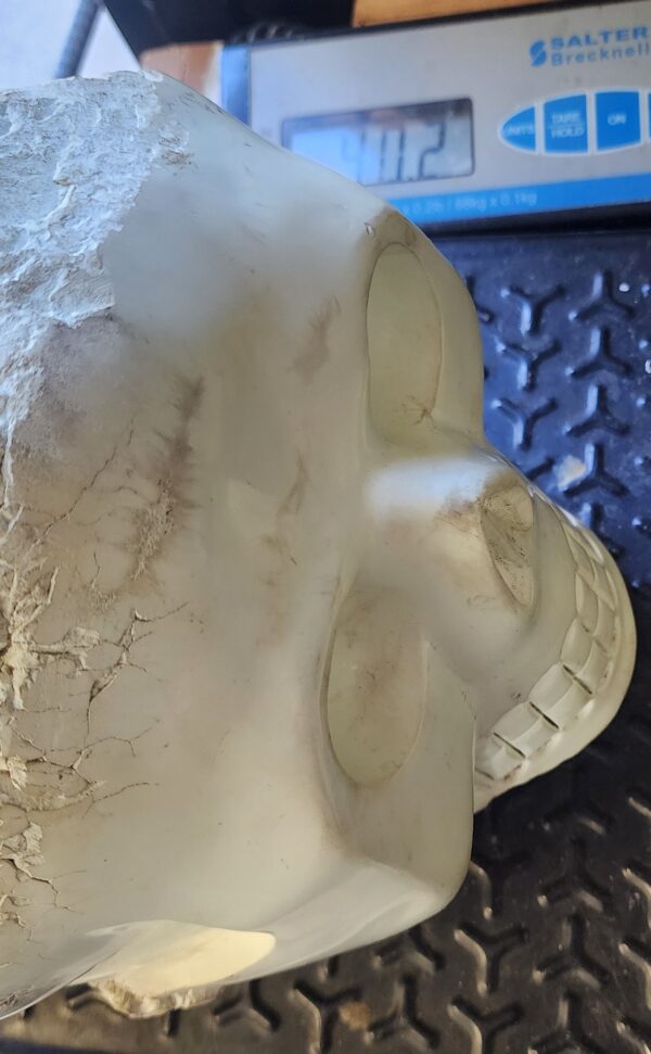 Extra Large Alabaster Skull