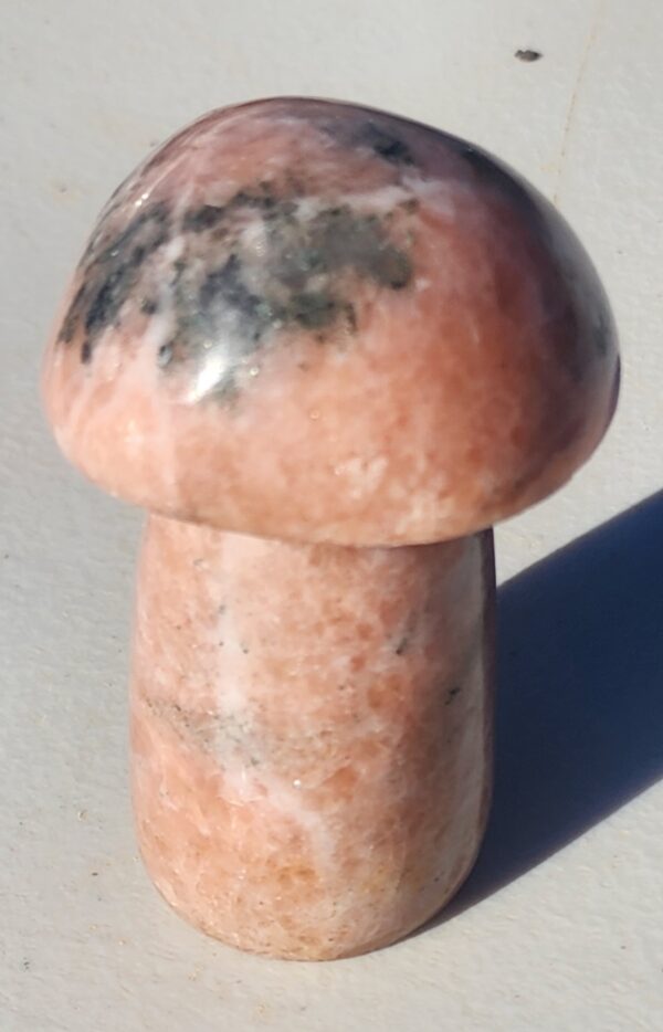 Pink Agate Mushroom