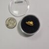 Gold Nugget - 3.11 GRAMS