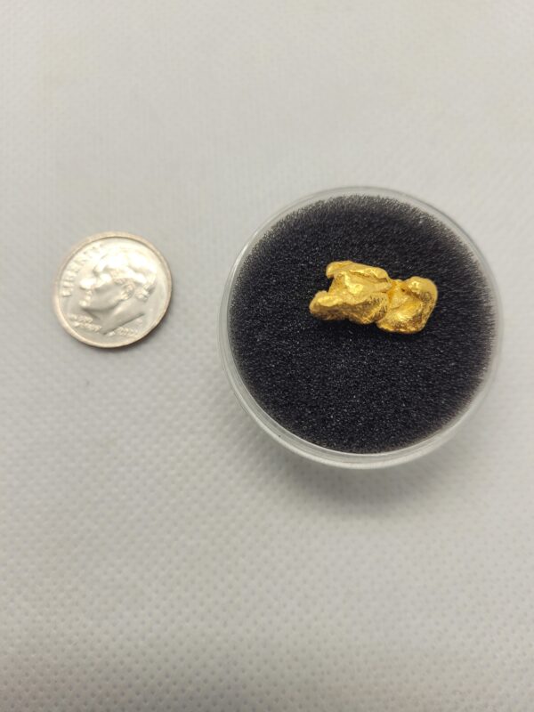 Gold Nugget - 4.54 Gram