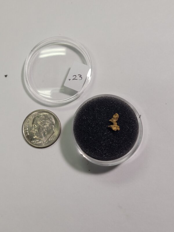 Gold Nugget - .23 gram