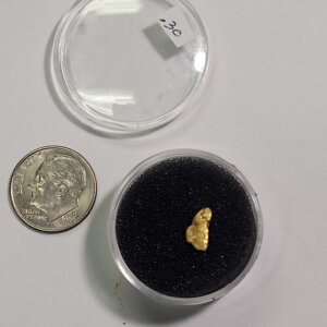 Gold Nugget - .30 GRAM