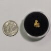 Gold Nugget - .54 grams