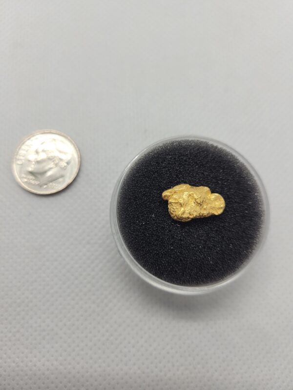 Gold Nugget - 2.99 Gram